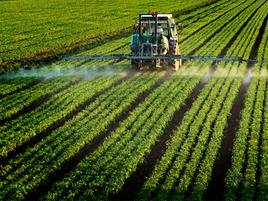 Água alcalina age contra os agrotóxicos.